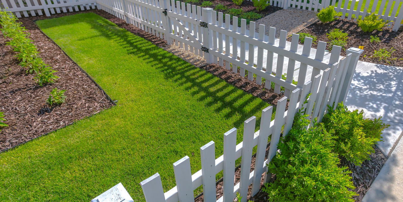 Sunlit yard with lawn white fence and shrubs
